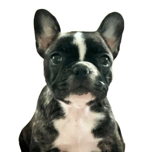 Lilah